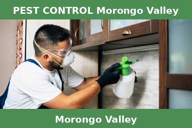 PEST CONTROL Morongo Valley